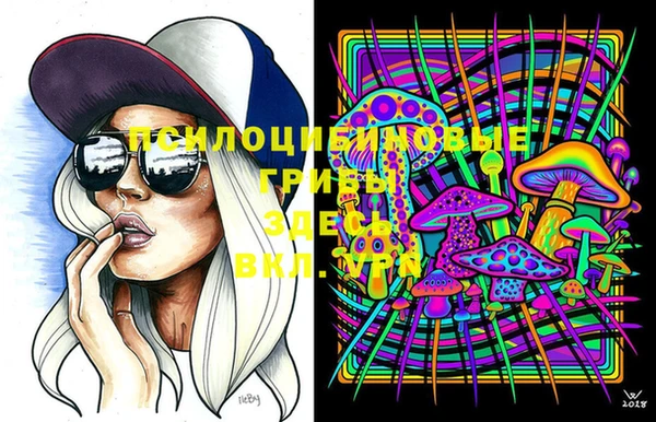 прущие крисы Алексеевка