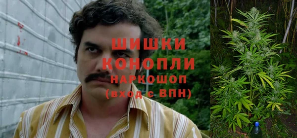 прущие крисы Алзамай