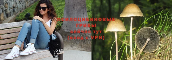 прущие крисы Алексеевка