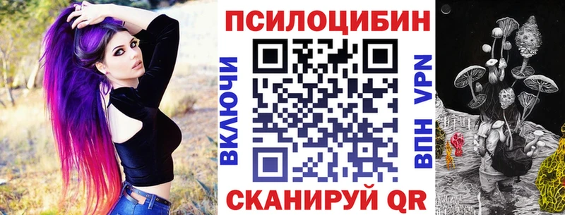 Псилоцибиновые грибы Cubensis цена гидра рабочий сайт Комсомольск-на-Амуре