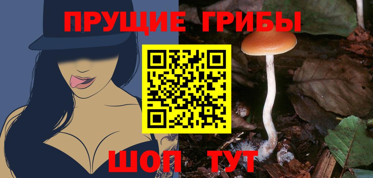 Галлюциногенные грибы GOLDEN TEACHER Комсомольск-на-Амуре