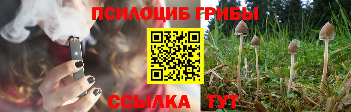 Комсомольск-на-Амуре  Галлюциногенные грибы Psilocybe  Вход с VPN 